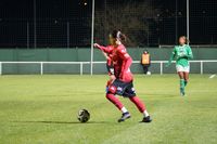 2024-12-07_18-39-45-D5C01728.JPG